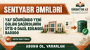 Əmrlər- Yay dövründə yeni gələn şagirdlərin ÜTİS-də məktəbin kontingentinə daxil edilməsi barədə